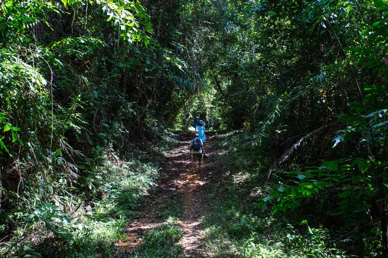 TreeHouse_Villas_D1_Activities-_1-(1)