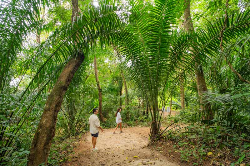 TreeHouse_Villas_D3_Onsite_1-(2)