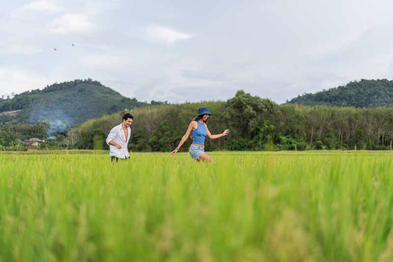 TreeHouse_Villas_D7_Paradise_Experience_1-(2)